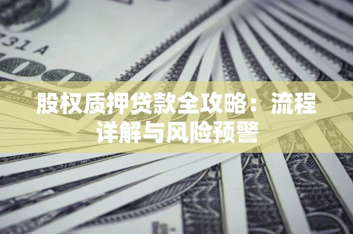 北京股权质押贷款全攻略：流程详解与风险预警