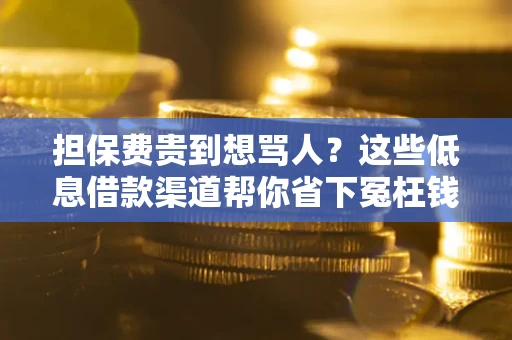 北京担保费贵到想骂人？这些低息借款渠道帮你省下冤枉钱