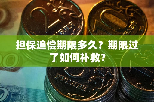 北京担保追偿期限多久？期限过了如何补救？